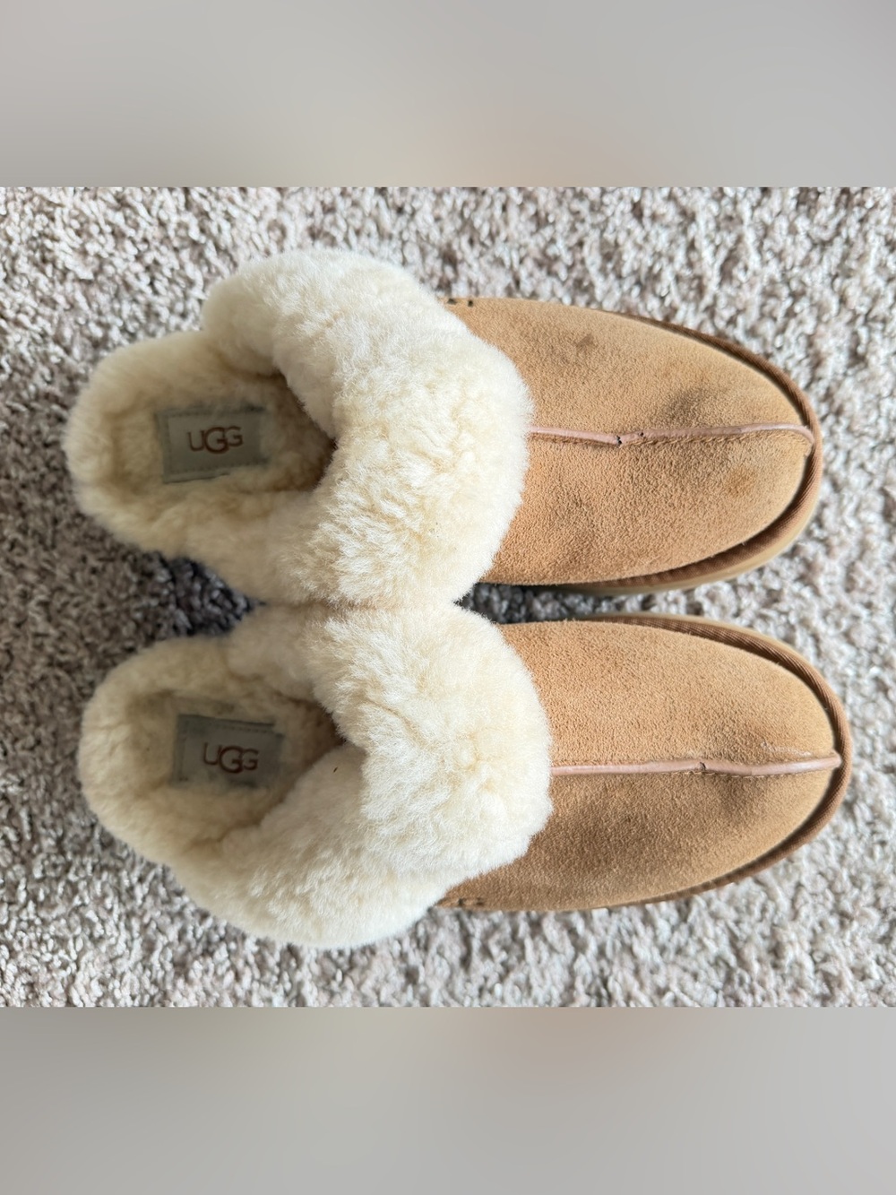UGG Scuffette Chestnut Suede Slip-On Slippers with Cream Shearling Collar